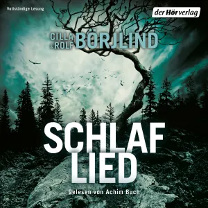 Pochette de Schlaflied de Achim Buch