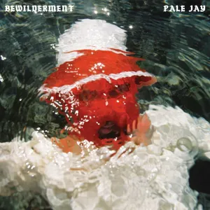 Pochette de Bewilderment de Pale Jay