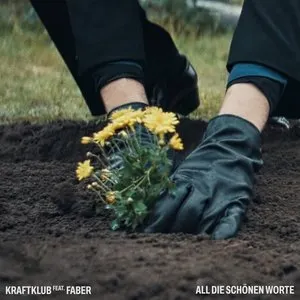 Pochette de All die schönen Worte de Faber - Kraftklub
