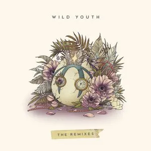 Pochette de Wild Youth (The Remixes) de Dabin