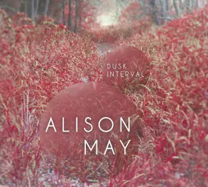 Pochette de Dusk Interval de Alison May
