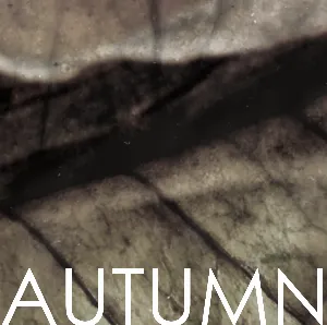 Pochette de AUTUMN o2 de and all was bright