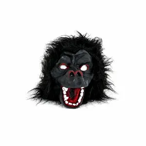 Pochette de Animal Flow de Ren