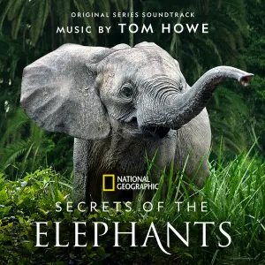 Pochette de Secrets of the Elephants: Original Series Soundtrack de Tom Howe