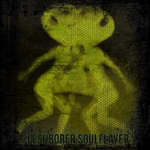 Pochette de Fleshborer Soulflayer de Otargos