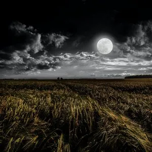 Pochette de Moon Gazing de Scott Lawlor