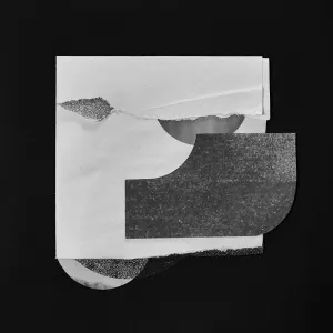 Pochette de Now We Are Branches And Leaves de øjeRum