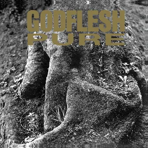 Pochette de Pure de Godflesh