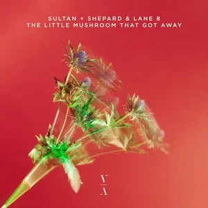 Pochette de The Little Mushroom That Got Away de Sultan + Shepard