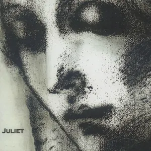 Pochette de Departing of a Dream, Volume III: Juliet de Loren Mazzacane Connors