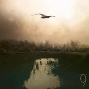 Pochette de Musings 9 de Boson Spin