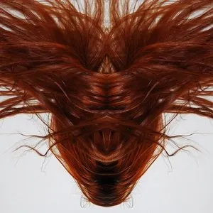 Pochette de A Collection of Hair de Dave Phillips