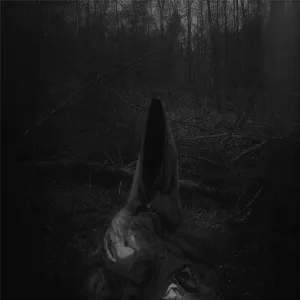 Pochette de Solivagant Ghost of Cimmerian Woods de Hiemal