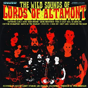 Pochette The Wild Sounds of the Lords of Altamont