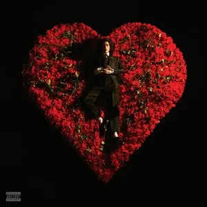 Pochette de Disaster de Conan Gray