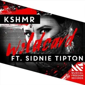 Pochette de Wildcard de KSHMR