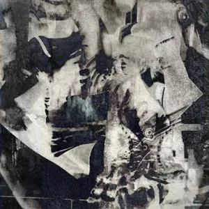 Pochette de Begotten de Falsewander