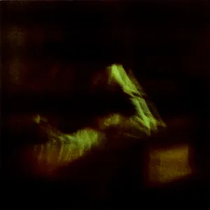 Pochette de Put My Dream on This Planet de Jandek