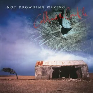 Pochette de Cold and the Crackle de Not Drowning, Waving