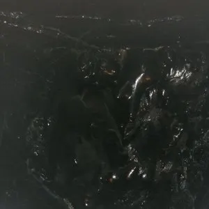 Pochette de Spectral Gaunts I de Kevin Drumm