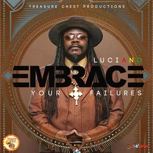 Pochette de Embrace Your Failures de Luciano