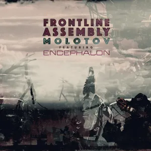 Pochette de Molotov (remix) de Front Line Assembly
