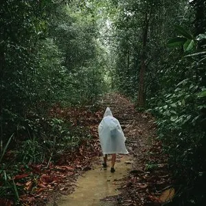 Pochette de Bung Jagoi - In the Forest de Yannick Dauby