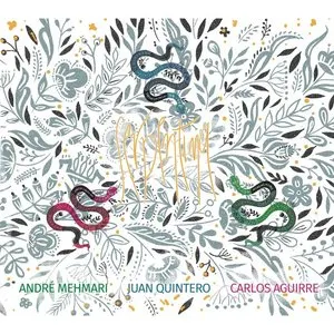 Pochette de Serpentina de André Mehmari