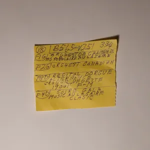 Pochette de Other Here Comes the Cowboy Demos de Mac DeMarco