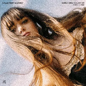 Pochette de Something to Luv For de Linney