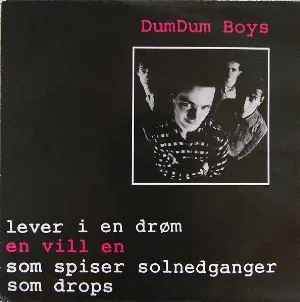 Pochette de En vill en de DumDum Boys