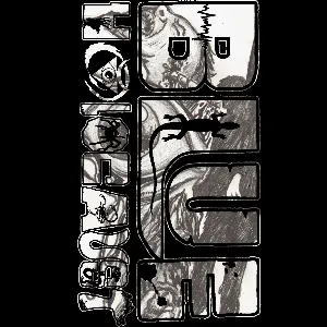 Pochette de Unreleased/Split Tape de Blue Holocaust