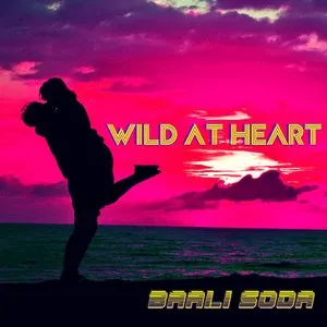 Pochette de Wild at Heart EP de Baali Soda