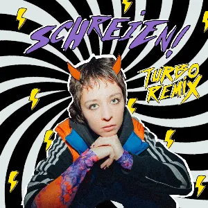 Pochette de Schreien! (Turbo remix) de Marti Fischer