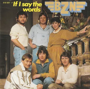 Pochette de If I Say the Words de BZN
