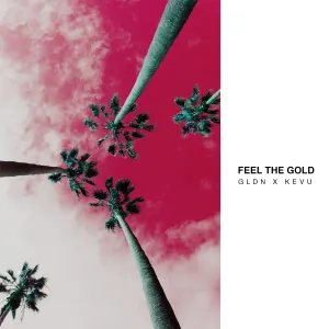 Pochette de Feel the Gold de Kevu
