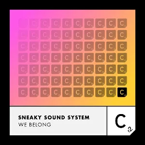 Pochette de We Belong de Sneaky Sound System