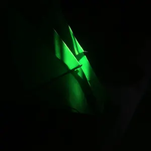 Pochette de Green Light Source de Ueda Takayasu