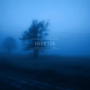 Pochette de inertia de Houle