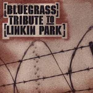 Pochette Bluegrass Tribute to Linkin Park
