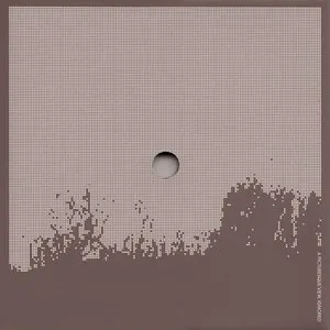 Pochette de A Picturesque View, Ignored de David Toop