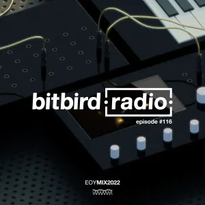 Pochette de San Holo Presents: bitbird radio #116 | 2022 mix de San Holo