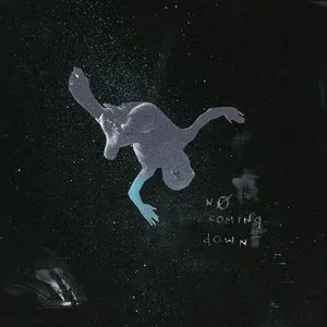 Pochette de No Coming Down de NGHTMRE