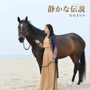 Pochette de 静かな伝説(レジェンド) de Mariya Takeuchi