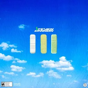 Pochette de InXanity de $teven Cannon