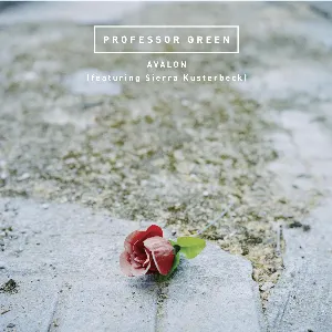 Pochette Avalon (Remixes)