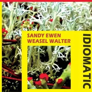 Pochette de Idiomatic de Weasel Walter