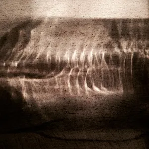 Pochette de Bland de | RG |