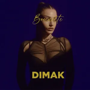 Pochette de Dimak de Brunette