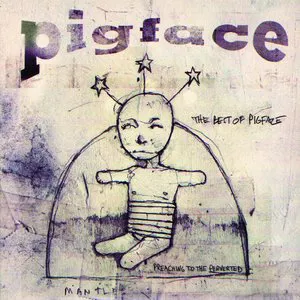 Pochette The Best of Pigface: Preaching to the Perverted